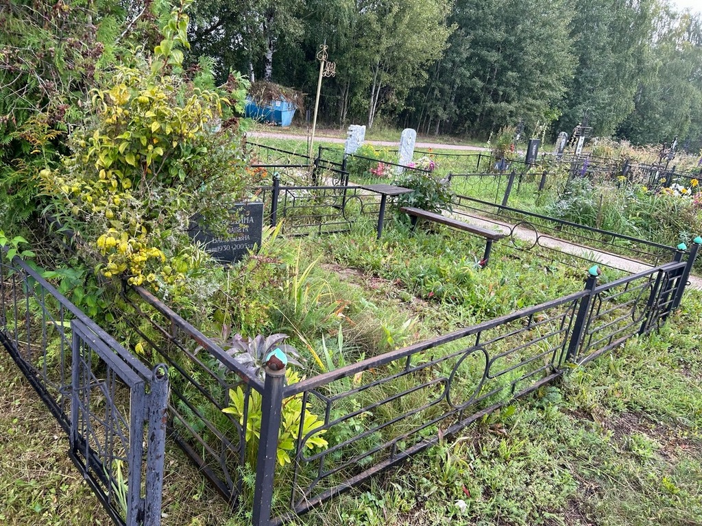 Курилина Елизавета Васильевна
