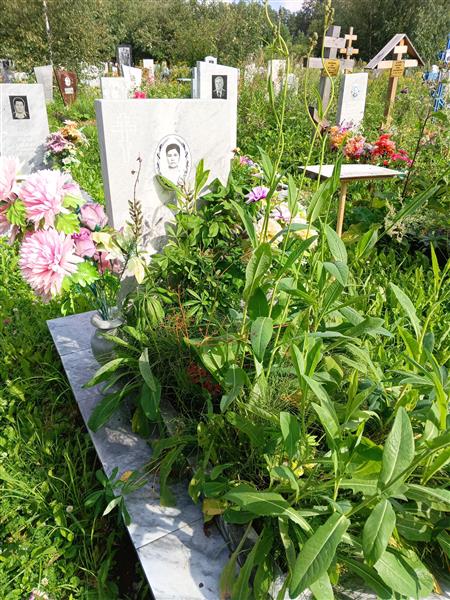 Чернышева Анна Петровна