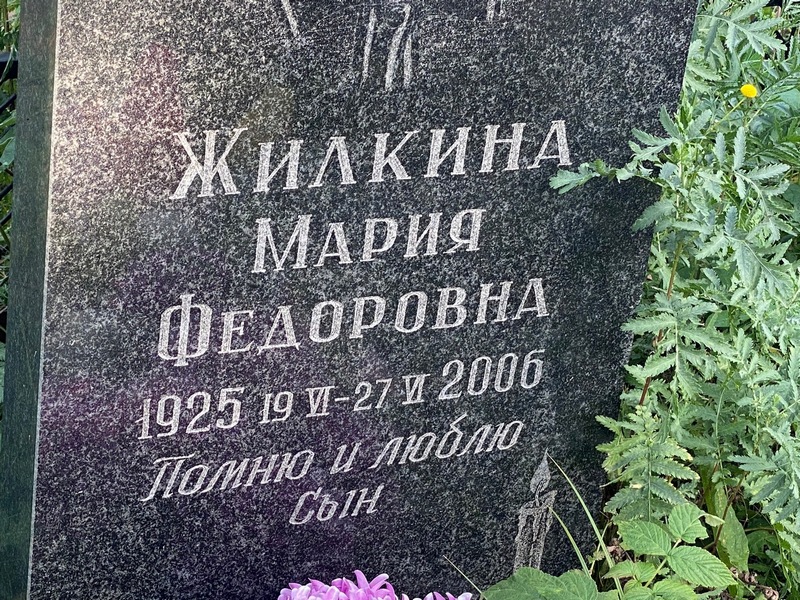 Жилкина