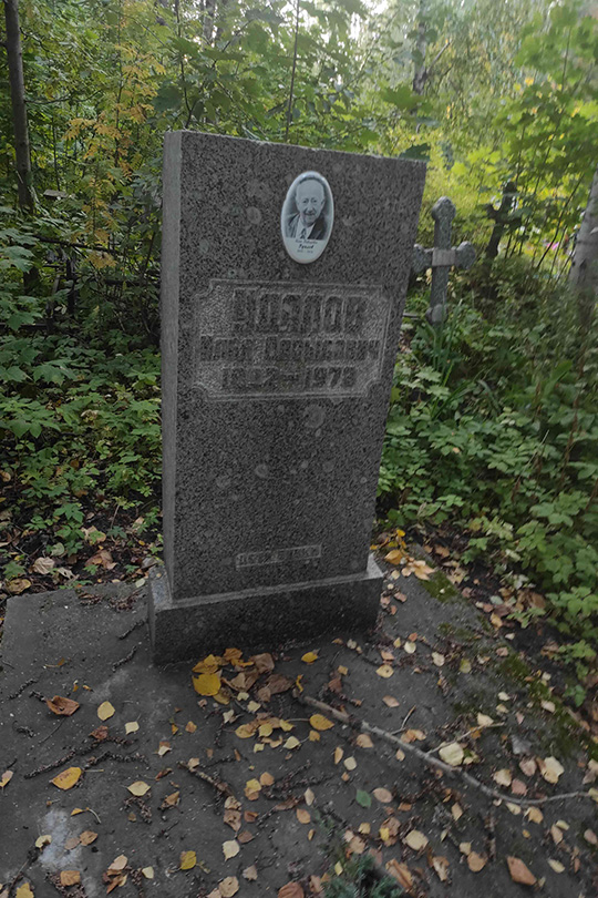 Удалов Илья Давидович