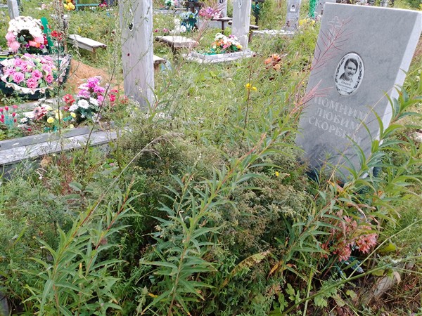 Шмырина Нина Валентиновна