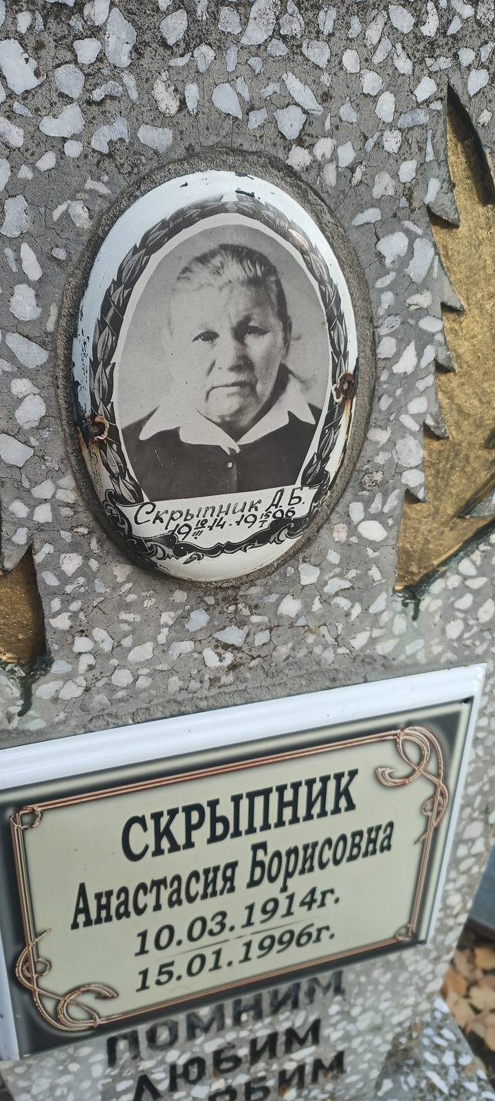 Скрыпник Анастасия Борисовна