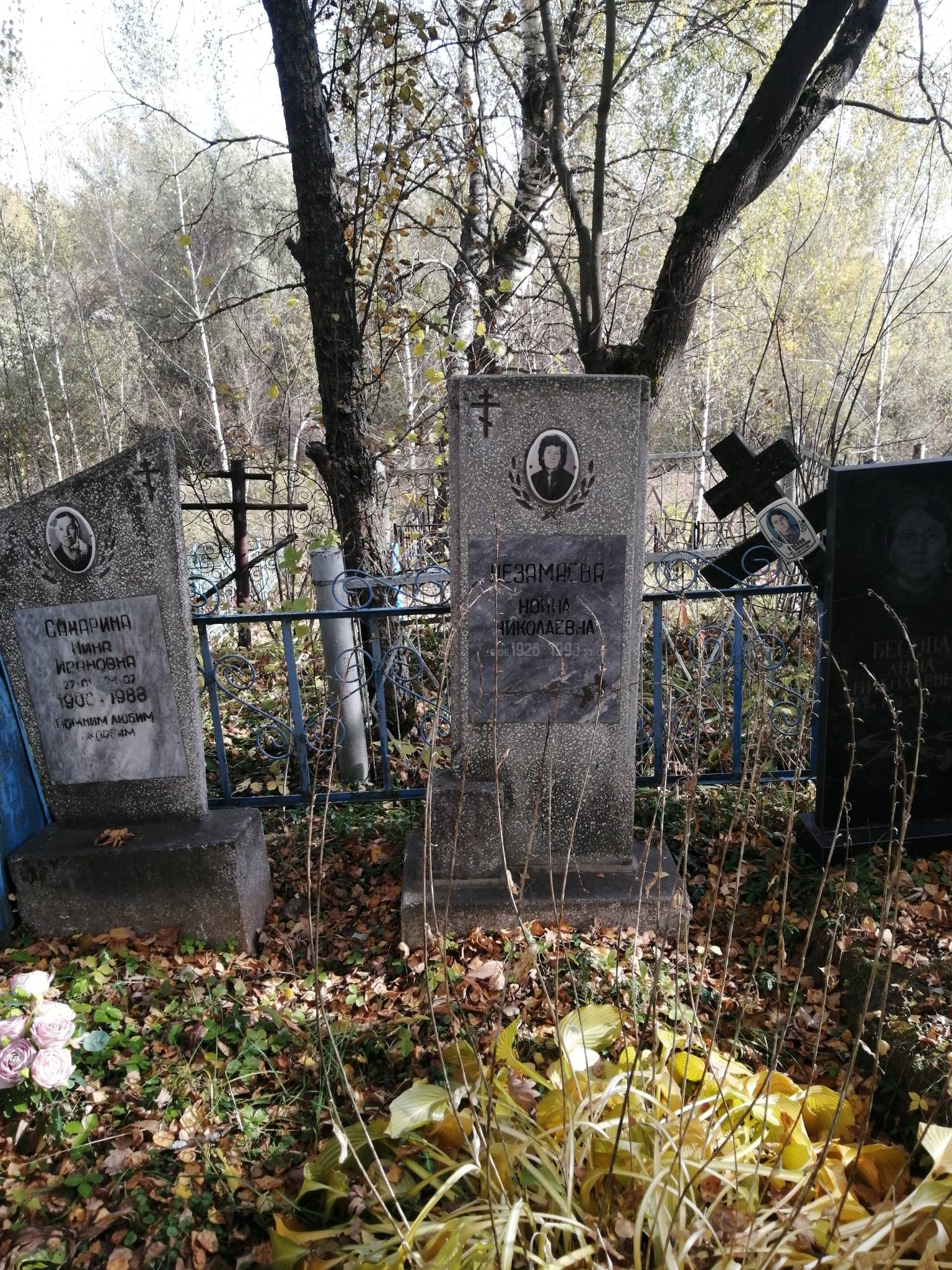 Незамаева Нонна Николаевна