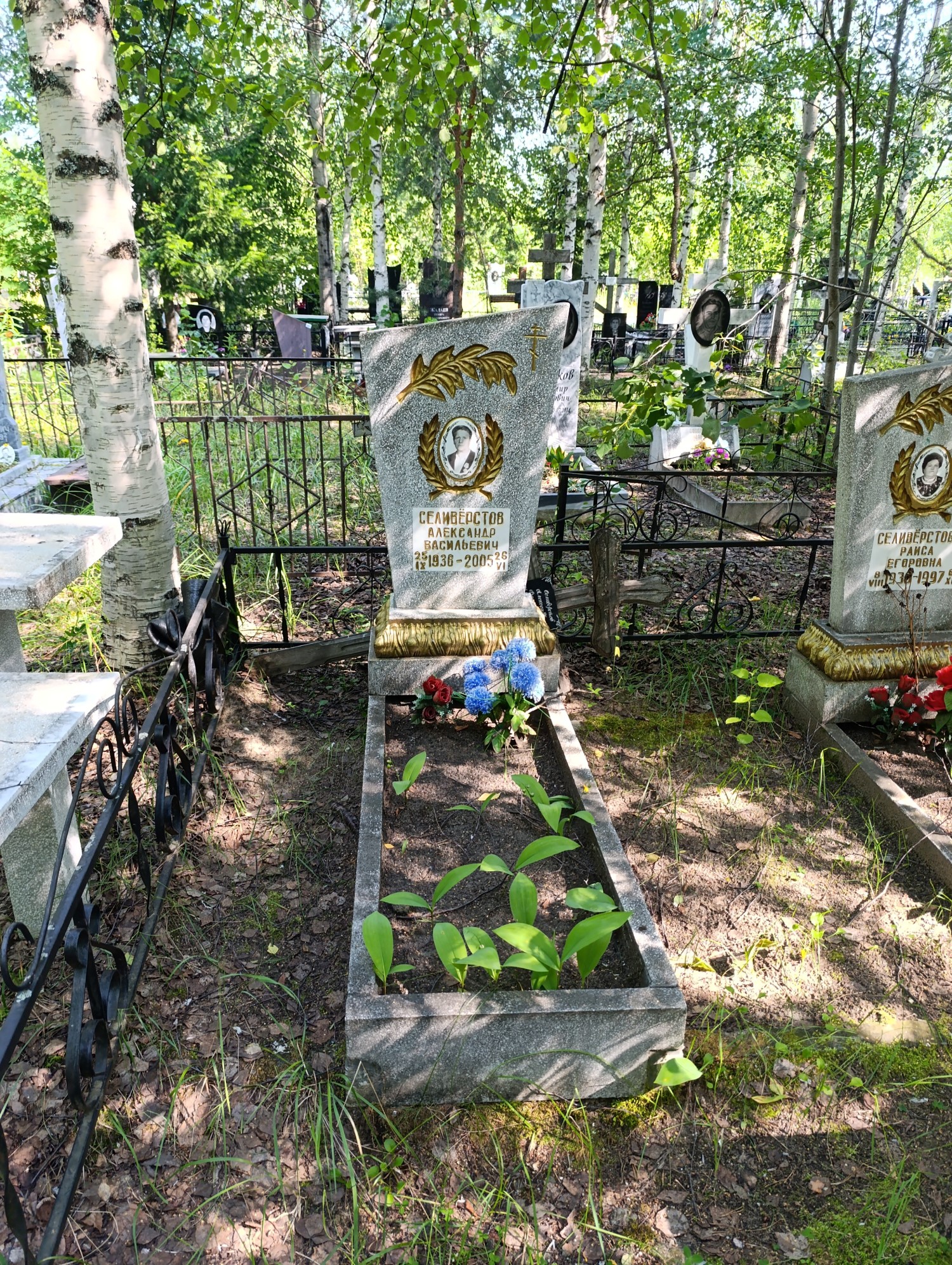 Селиверстов Александр Васильевич