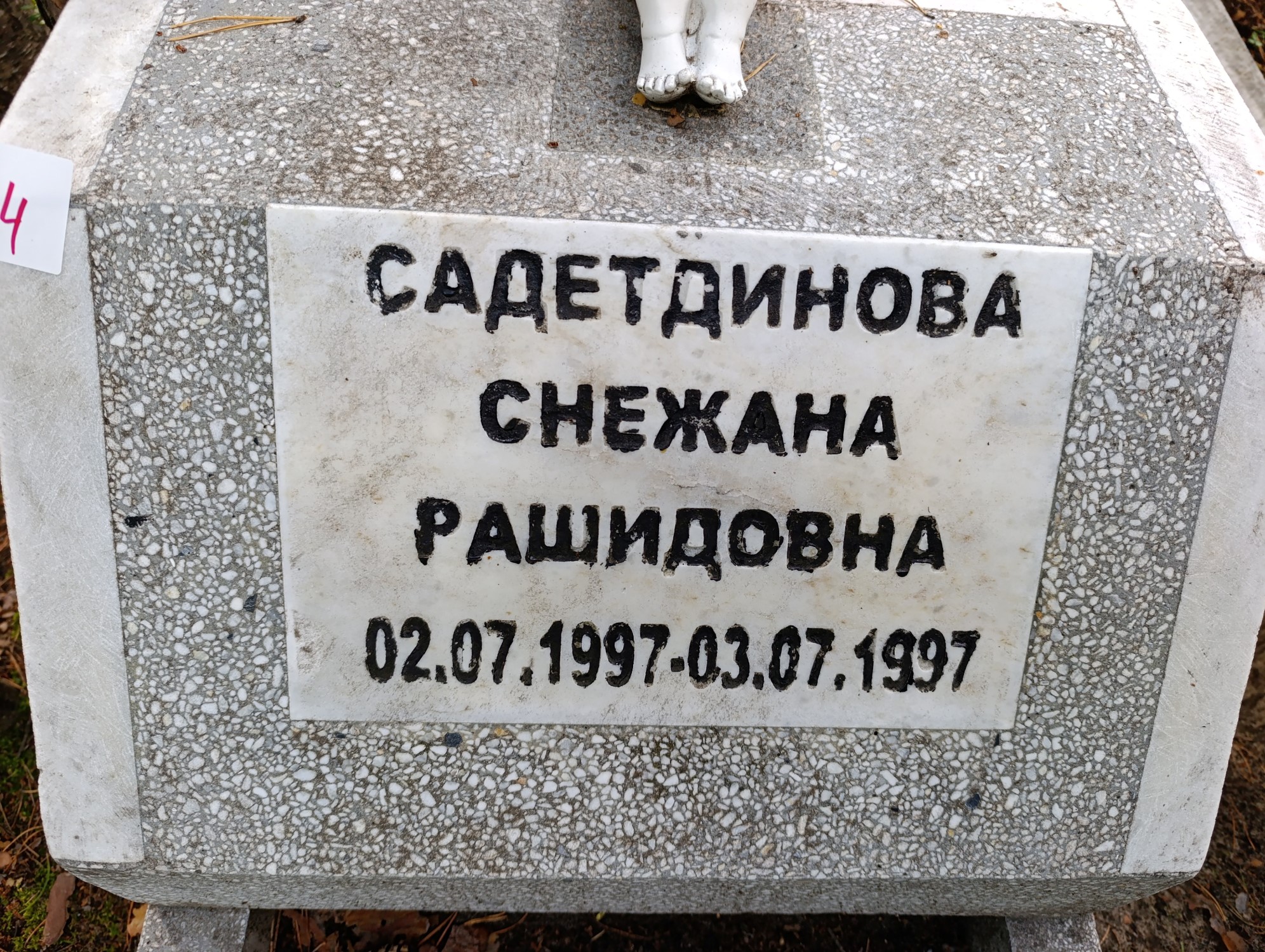 Садетдинова Снежана Рашидовна
