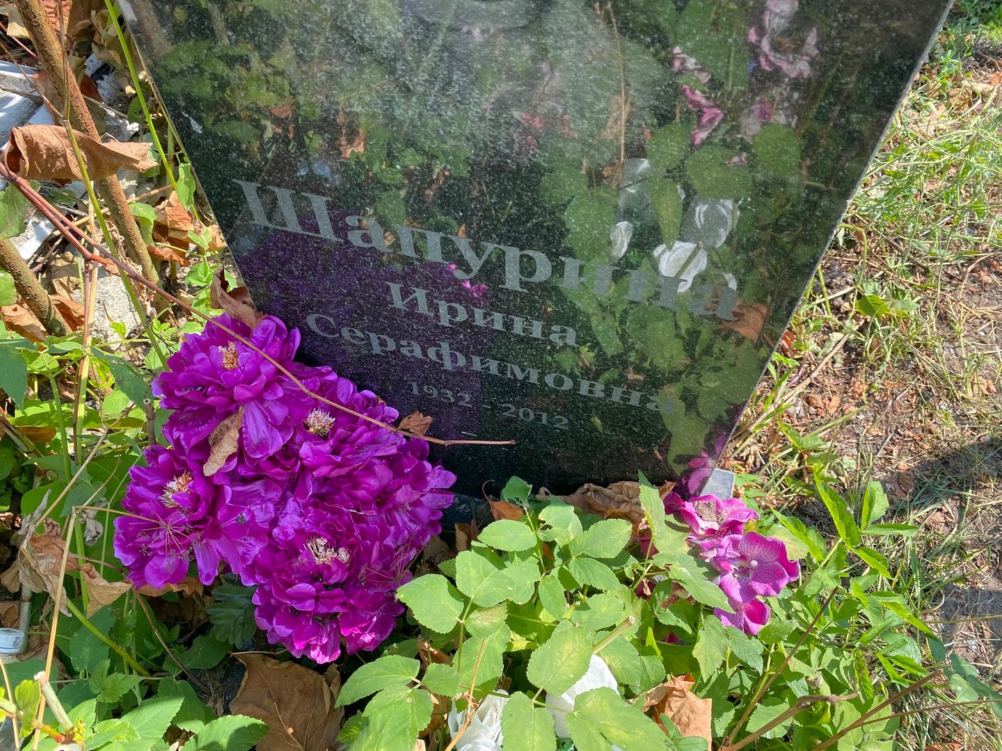 Шапурина