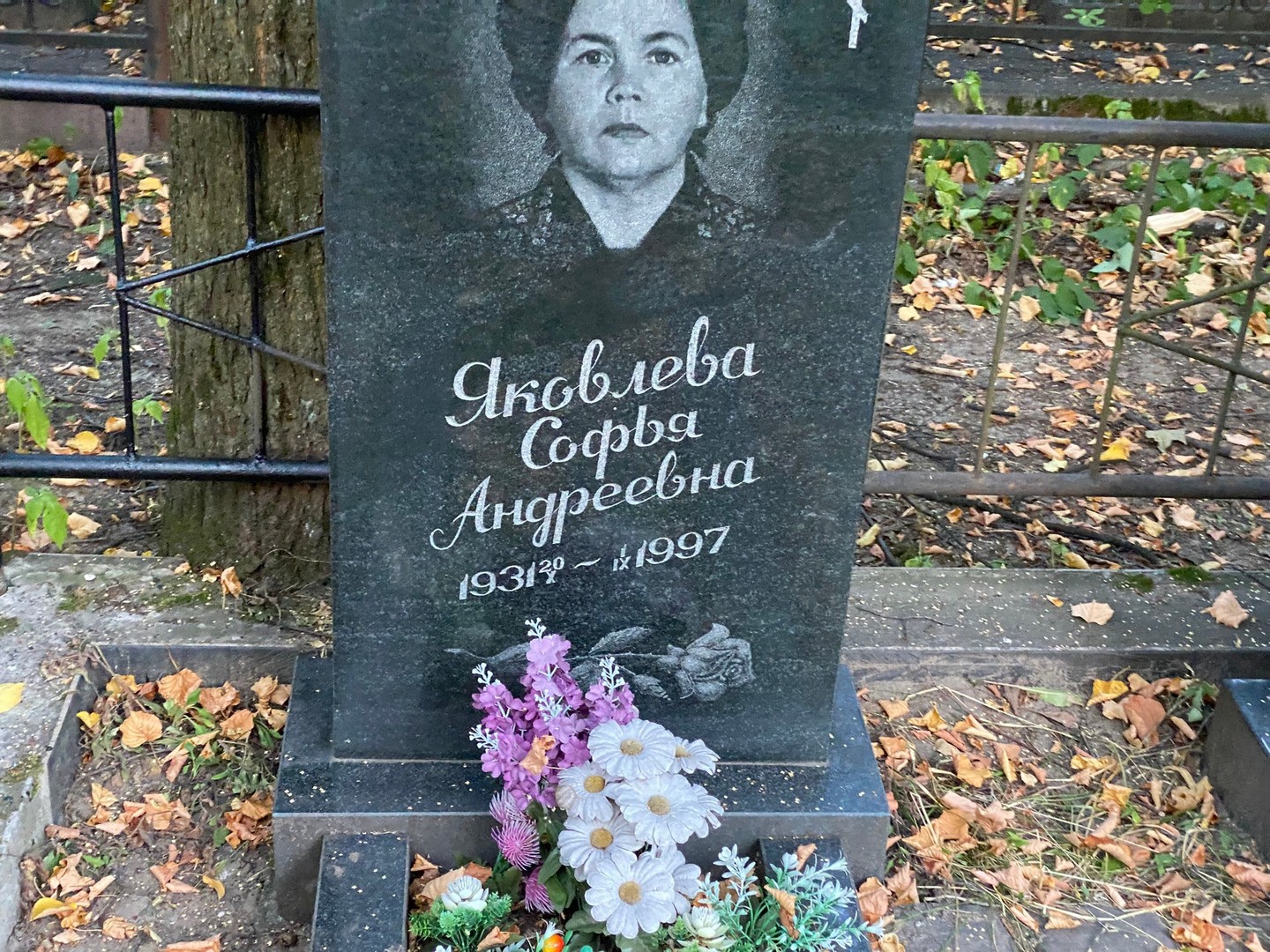 Софья Яковлева Андреевна