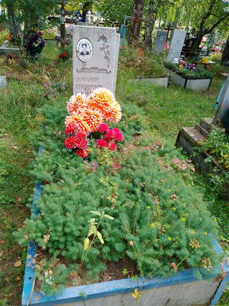 Мальков Алексей Петрович
