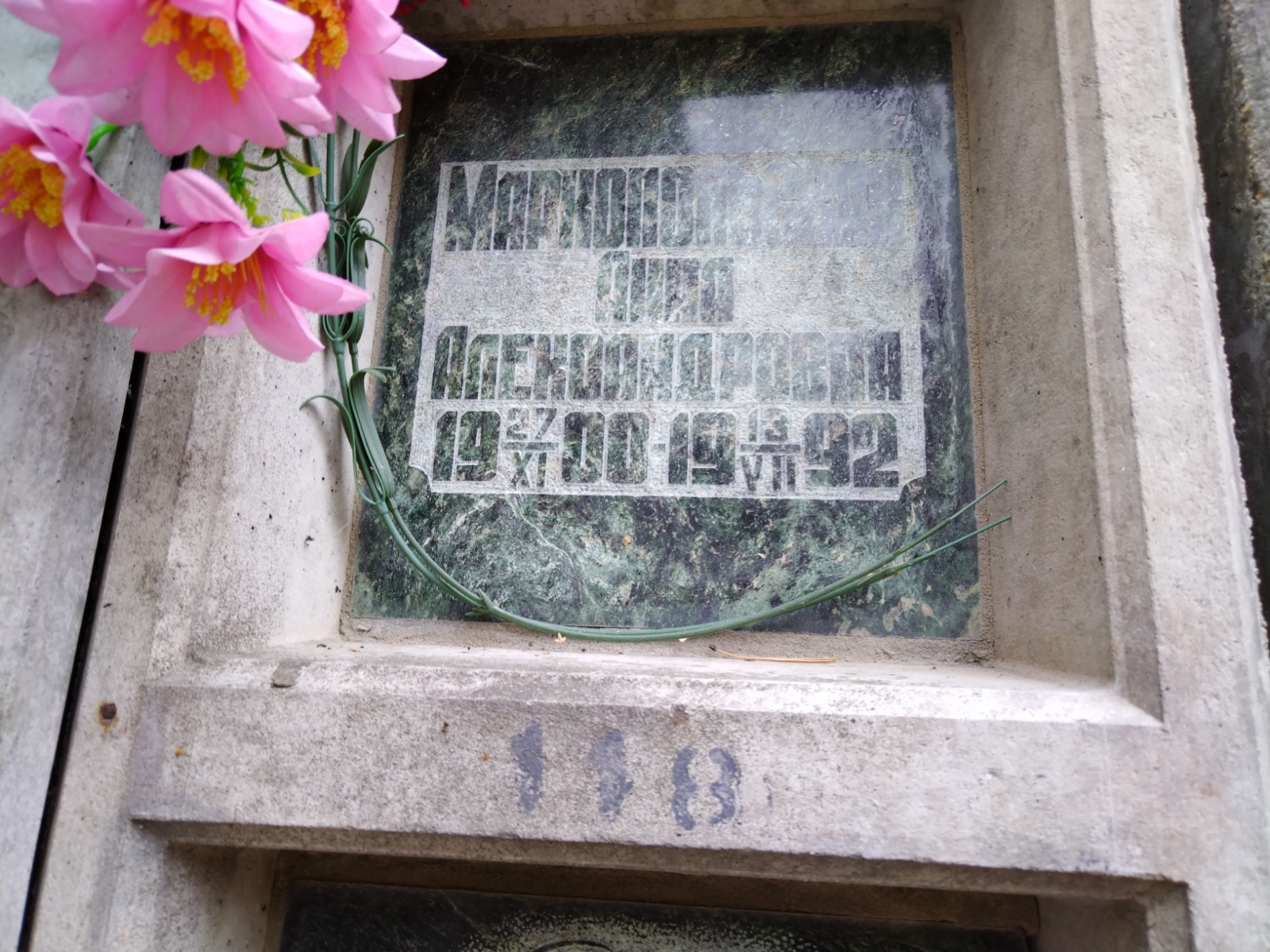 Маркопольская Анна Александровна