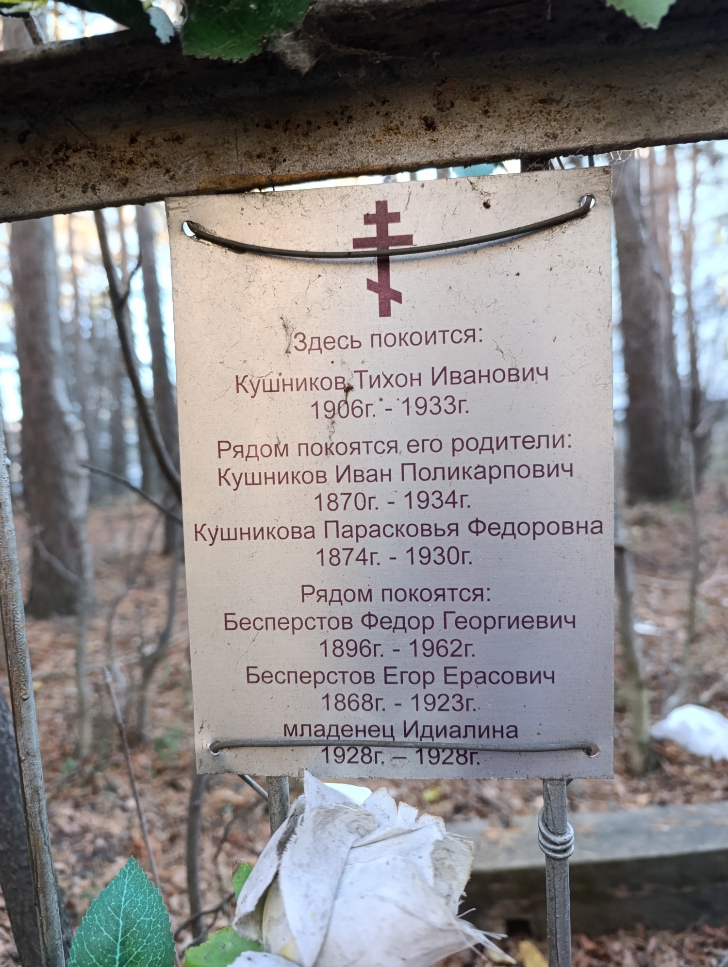 Бесперстов Федор Георгий