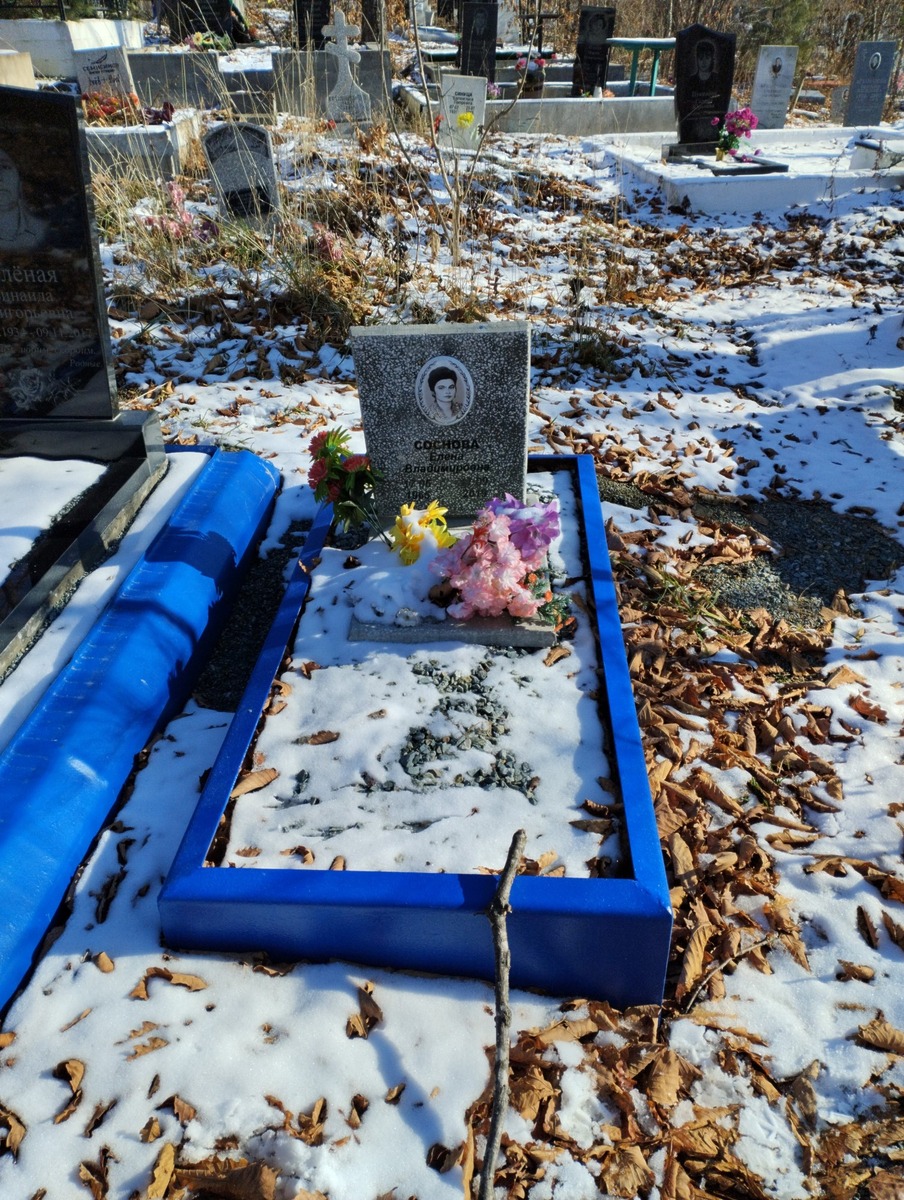 Соснова Елена Владимировна