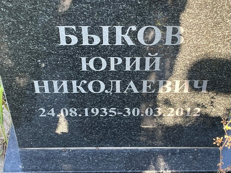 Быков