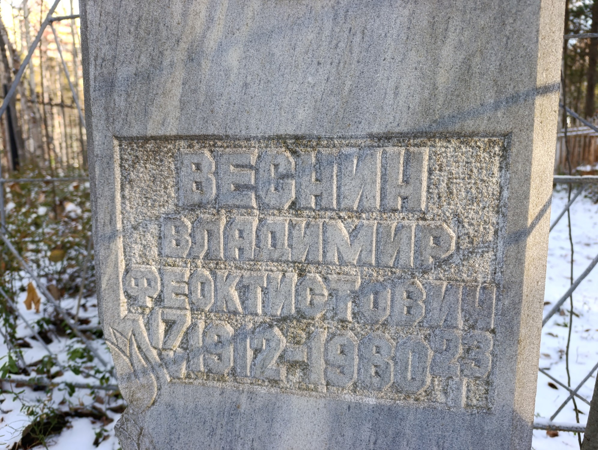 Веснин Владимир Феоктистович
