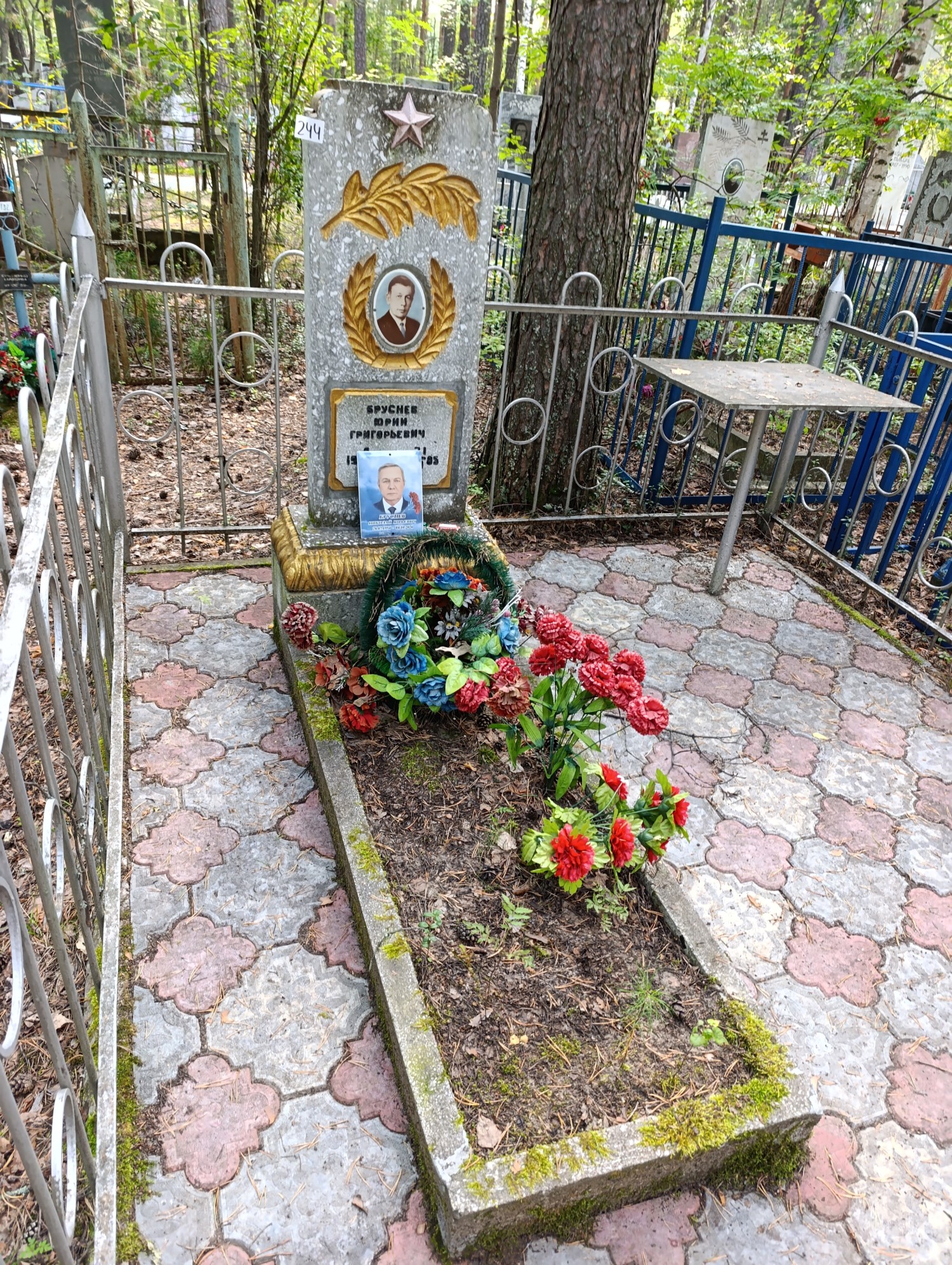 Бруснев Юрий Григорьевич