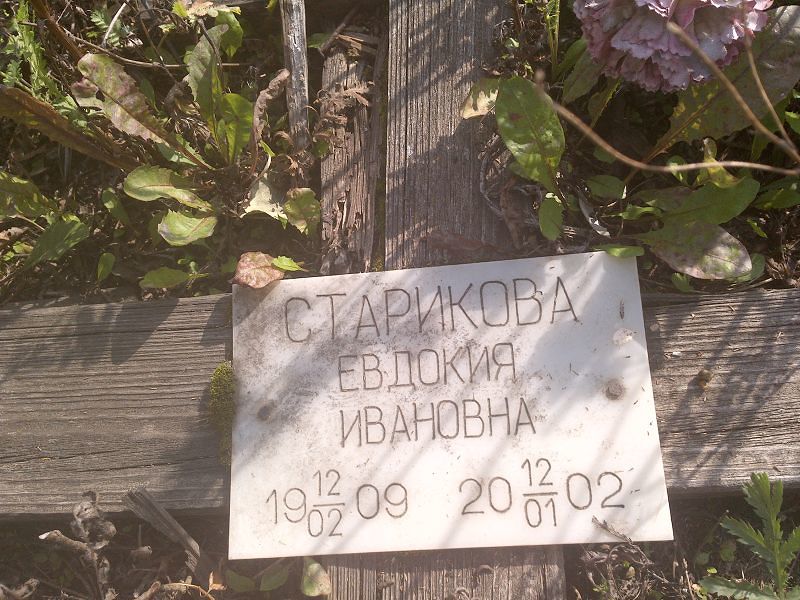Старикова