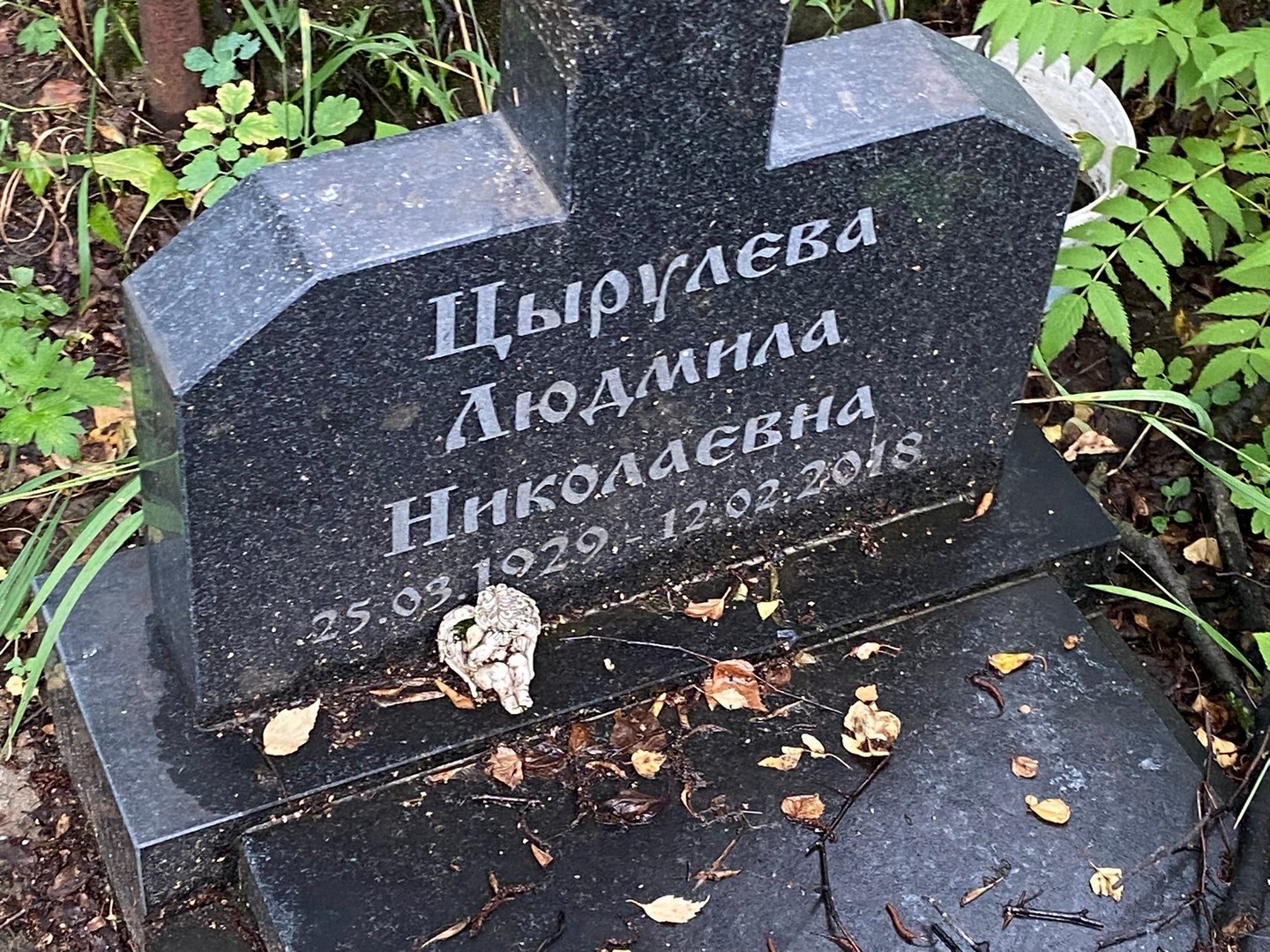 Цырулева