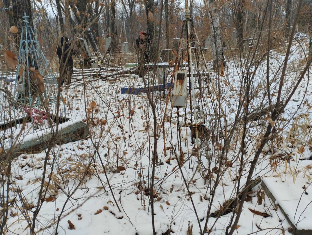 Помница Николай Антонович