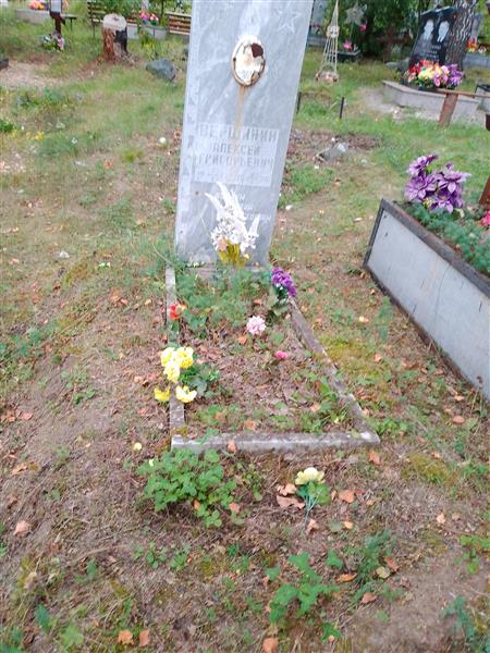 Вершинин Алексей Григорьевич