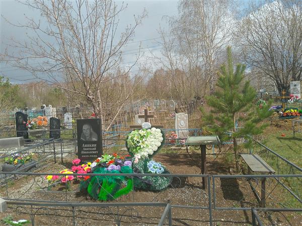 Аникин Анатолий Николаевич