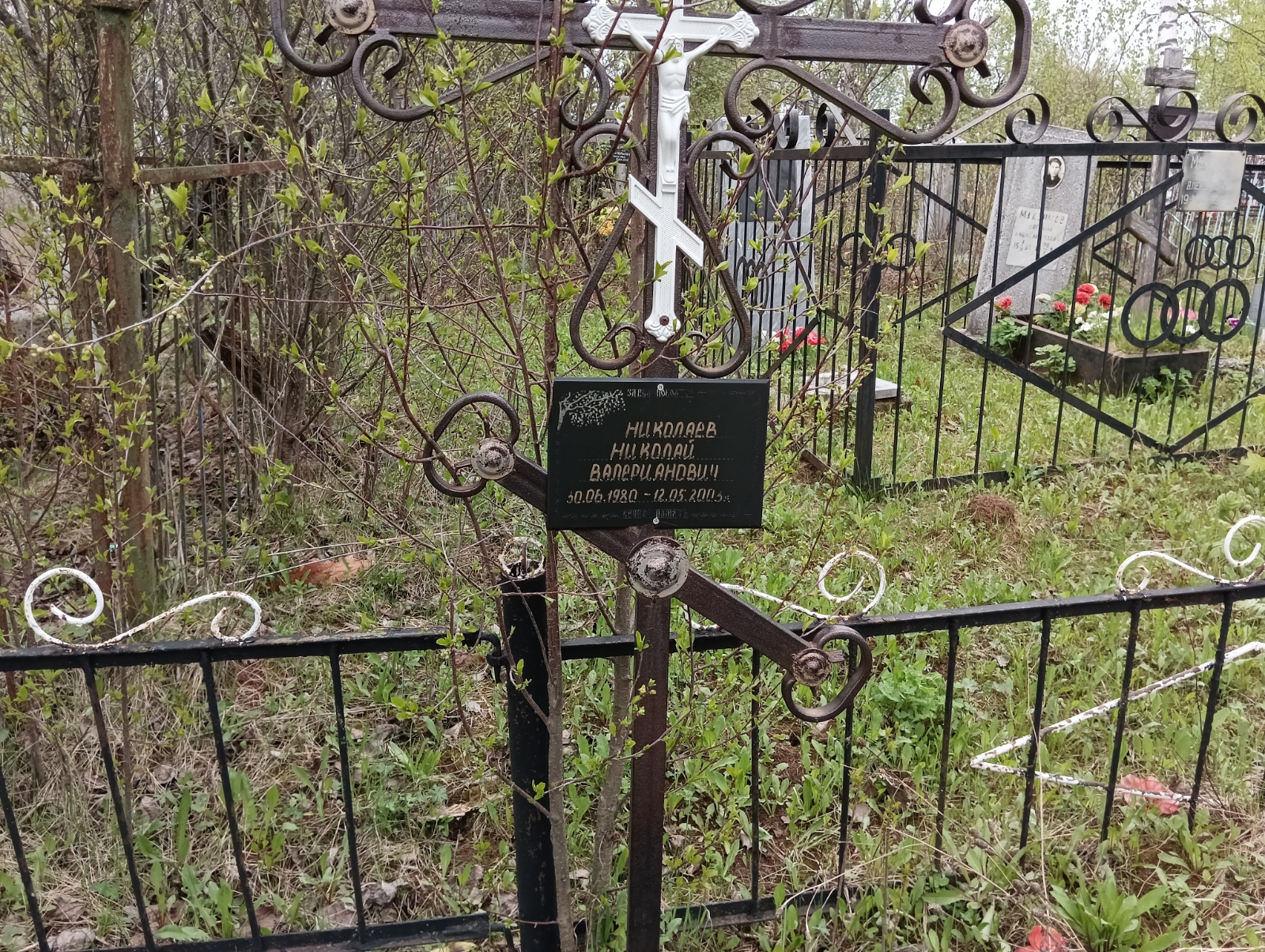 Николаев Николай Валерианович
