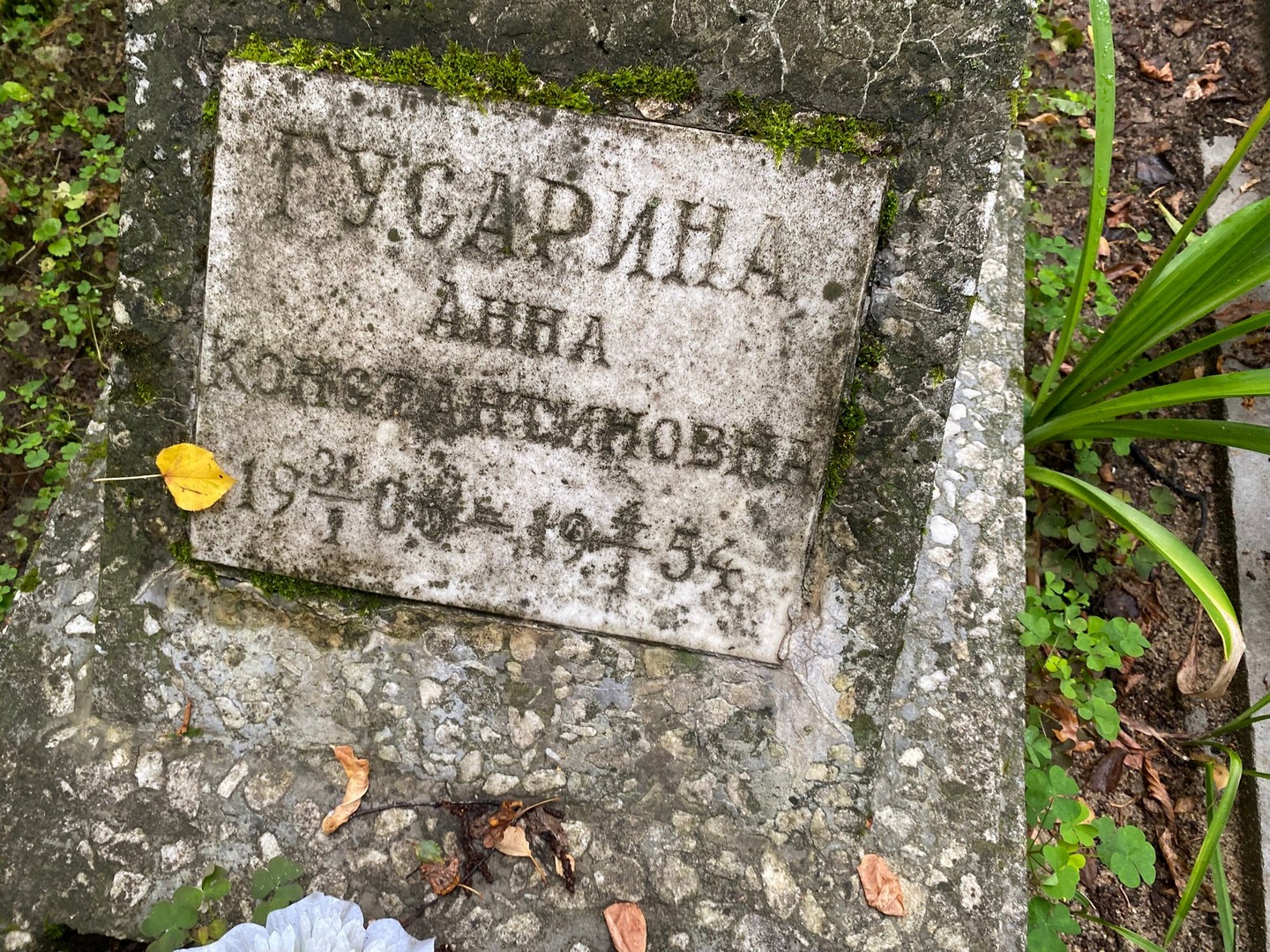 Гусарина