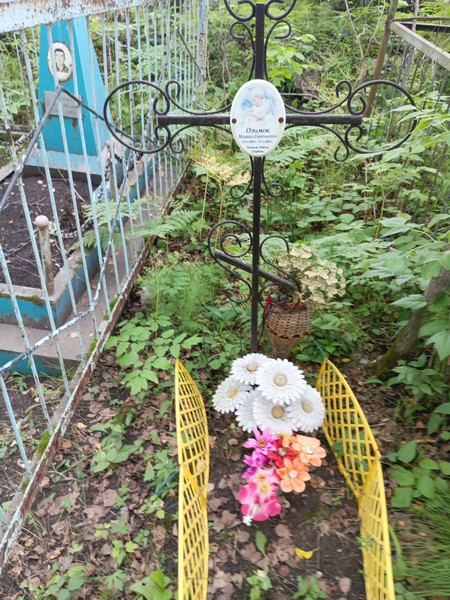 Озимок Михаил Евгеньевич