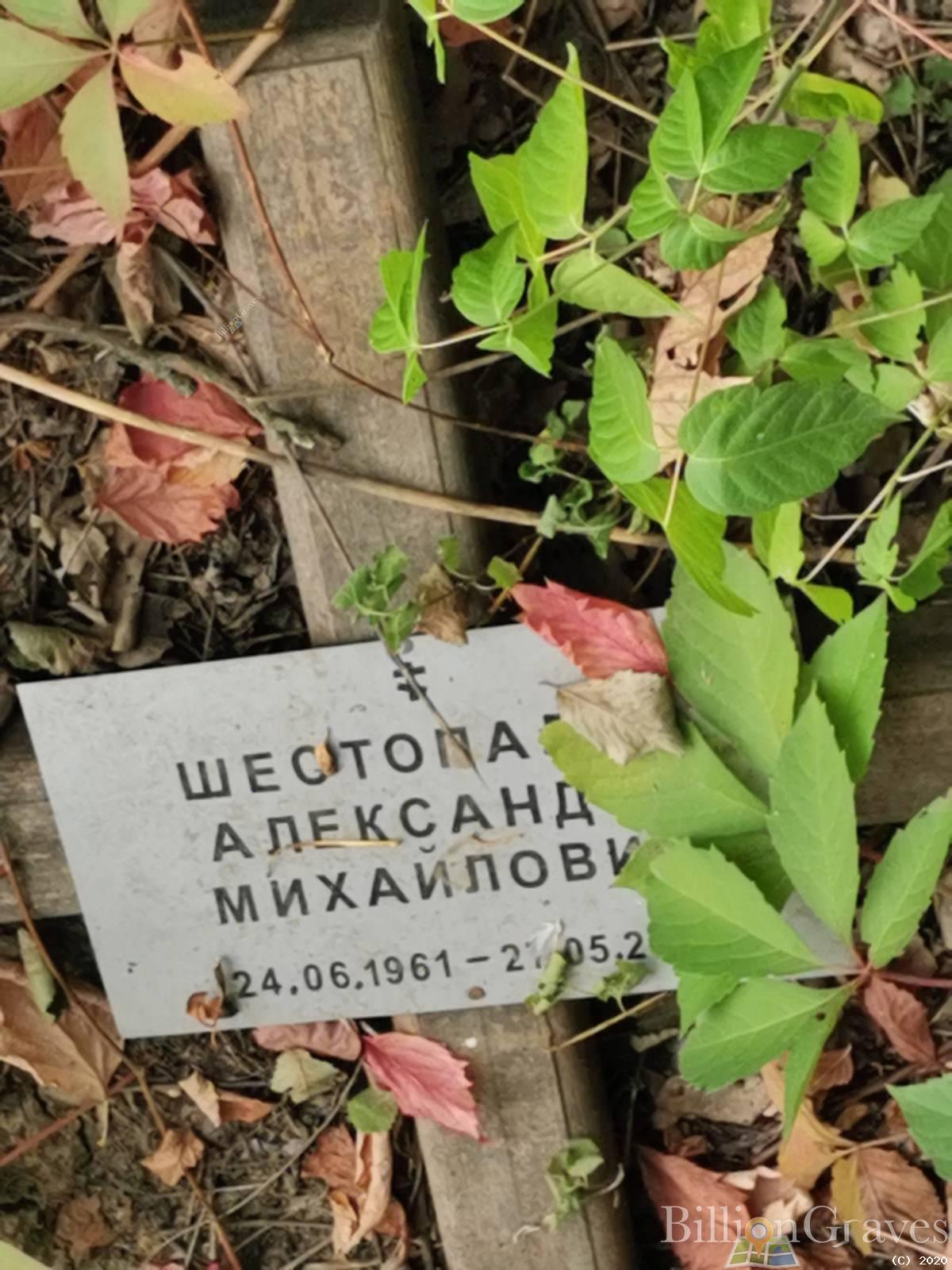 Шестопалов Александр Михайлович