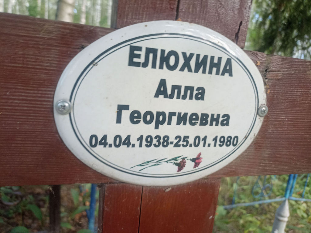Елюхина Алла Георгиевна