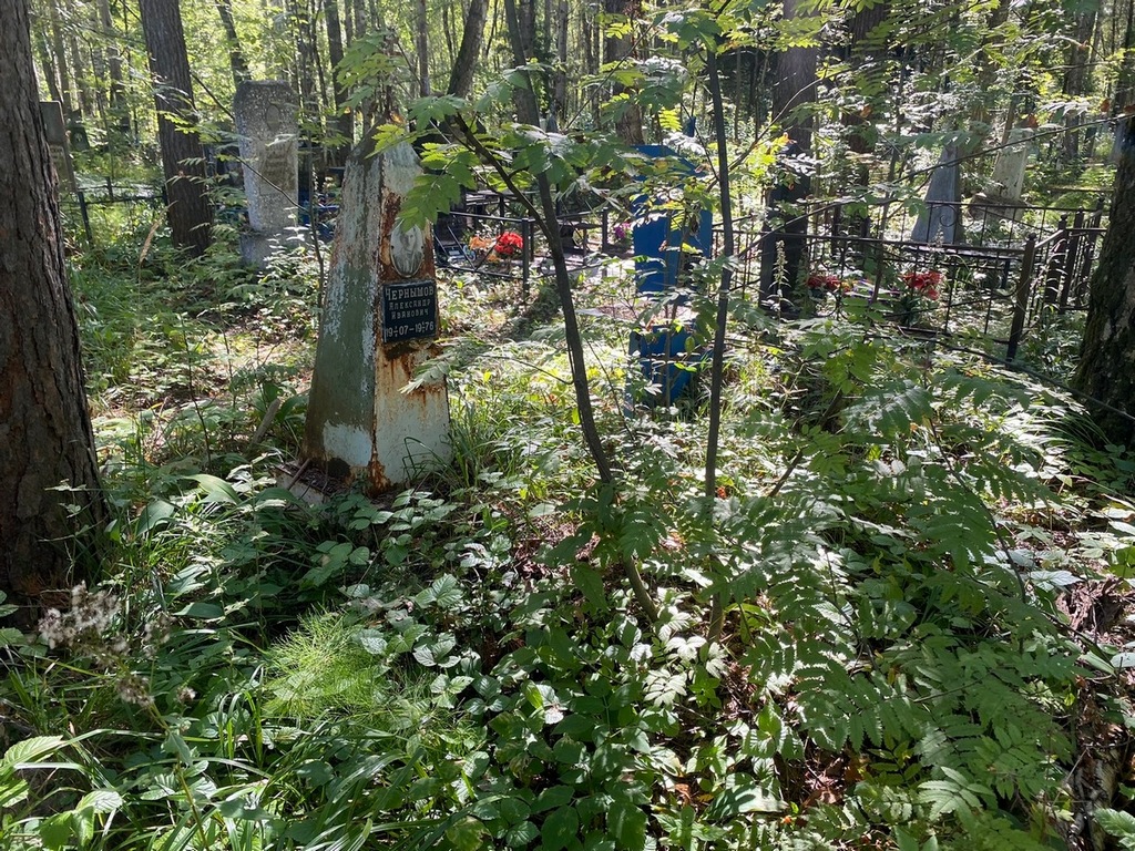 Чернышов Александр Иванович