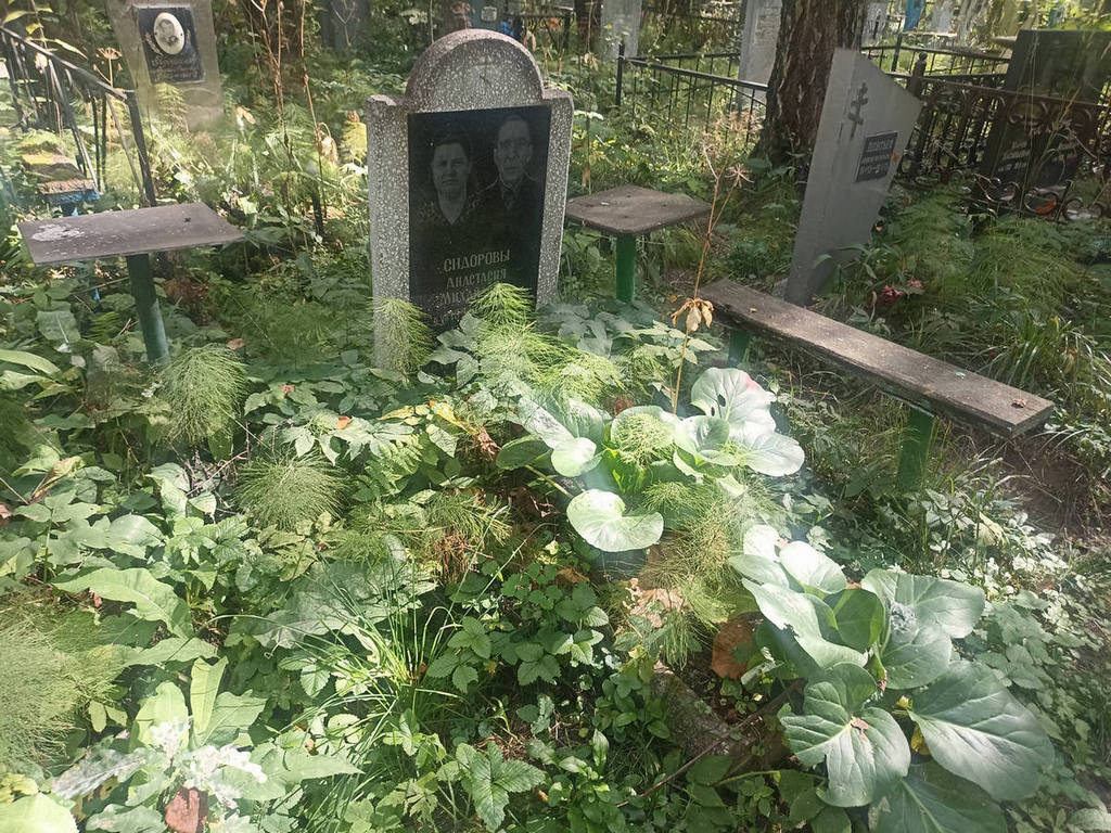 Сидорова Анастасия Михайловна