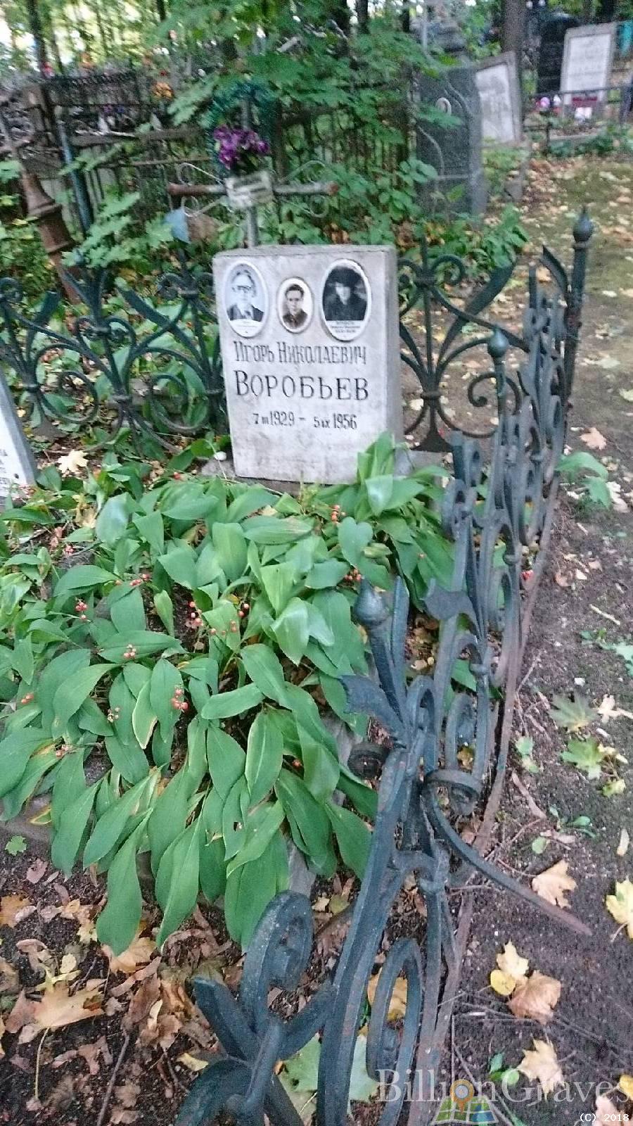 Воробьев Игорь Николаевич