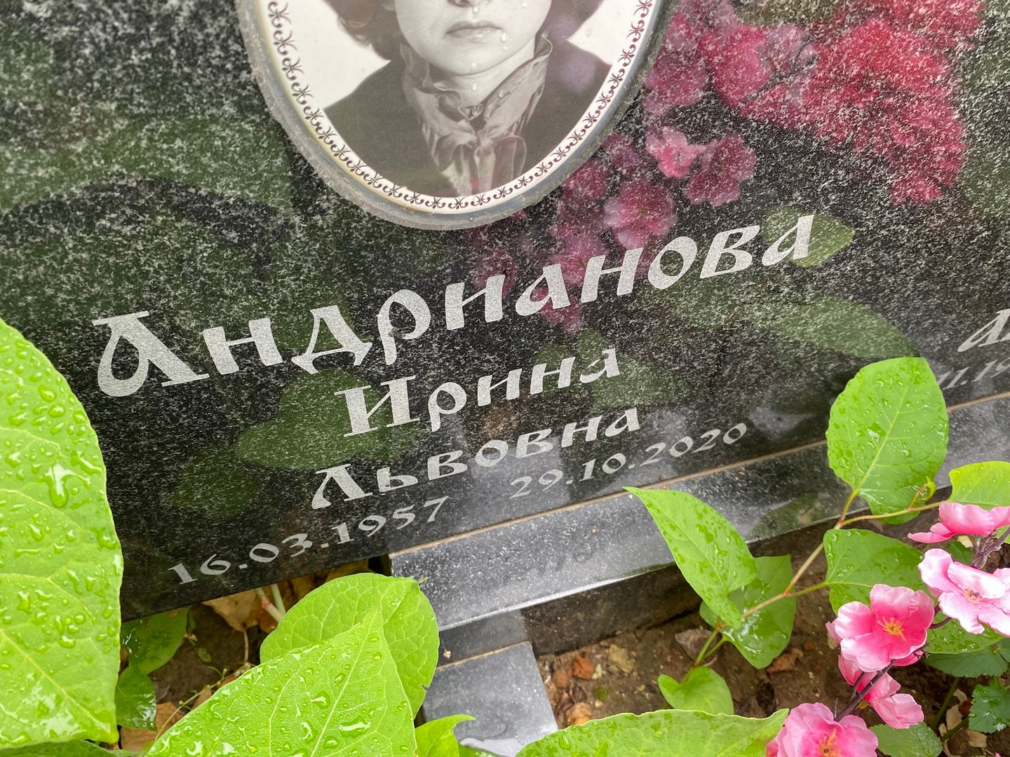Андрианова