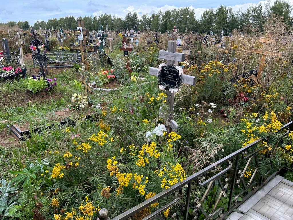 Цыпкина Нина Андреевна