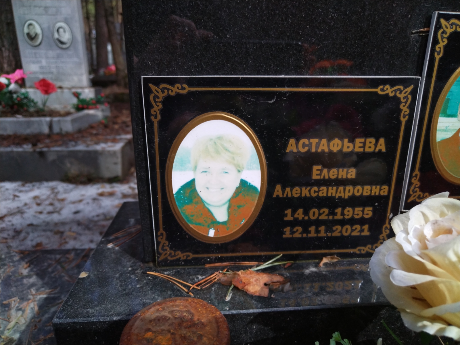 Астафьева Елена Александровна
