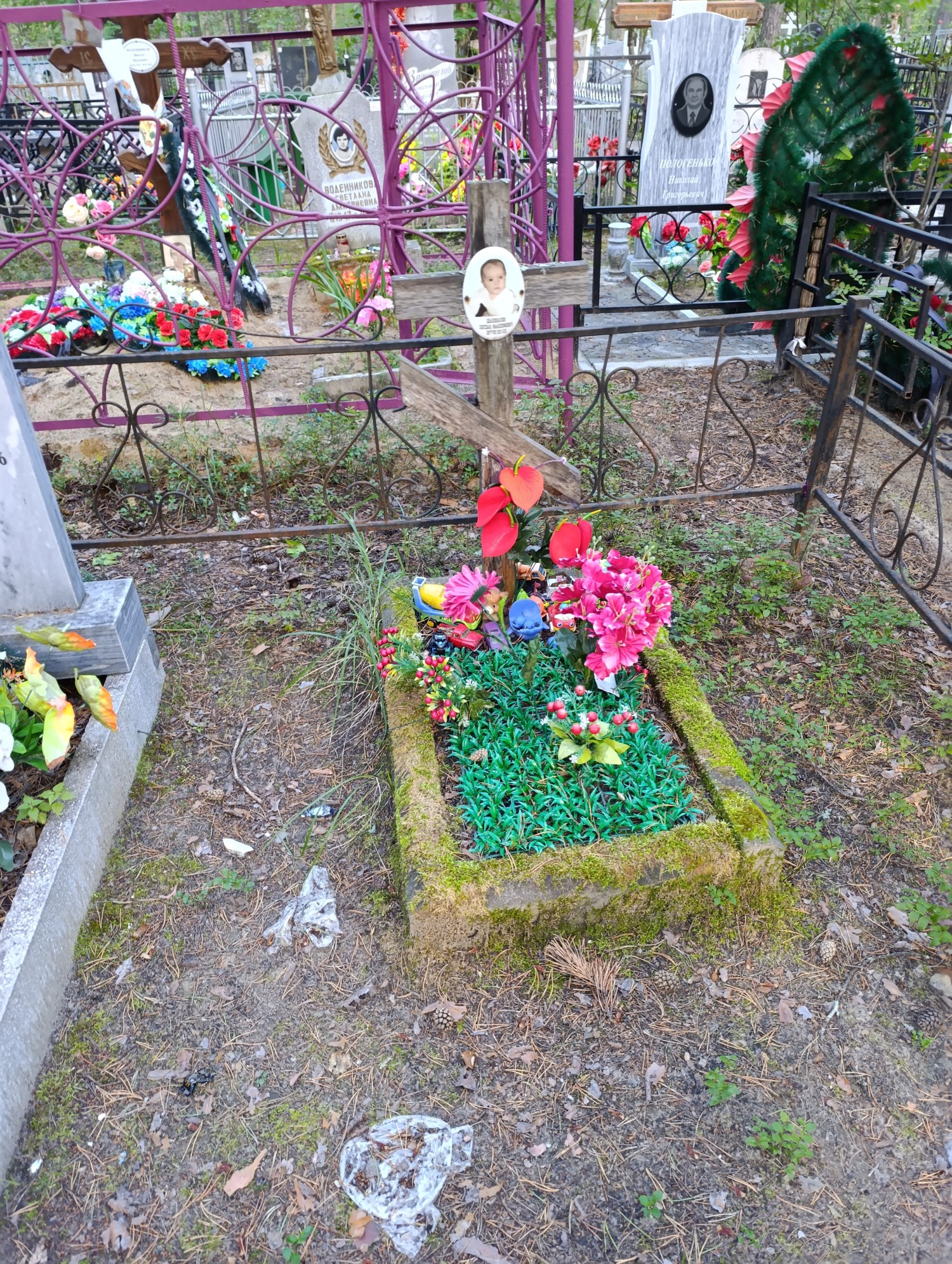 Шаповалов Богдан Максимович