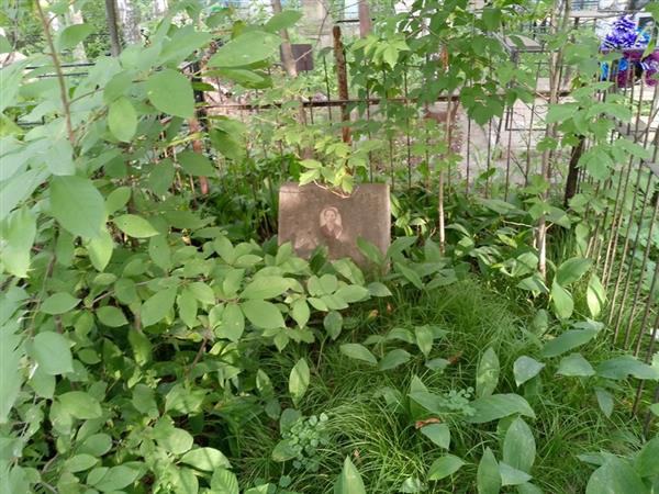 Коганицкая Хая-Сора Давыдовна