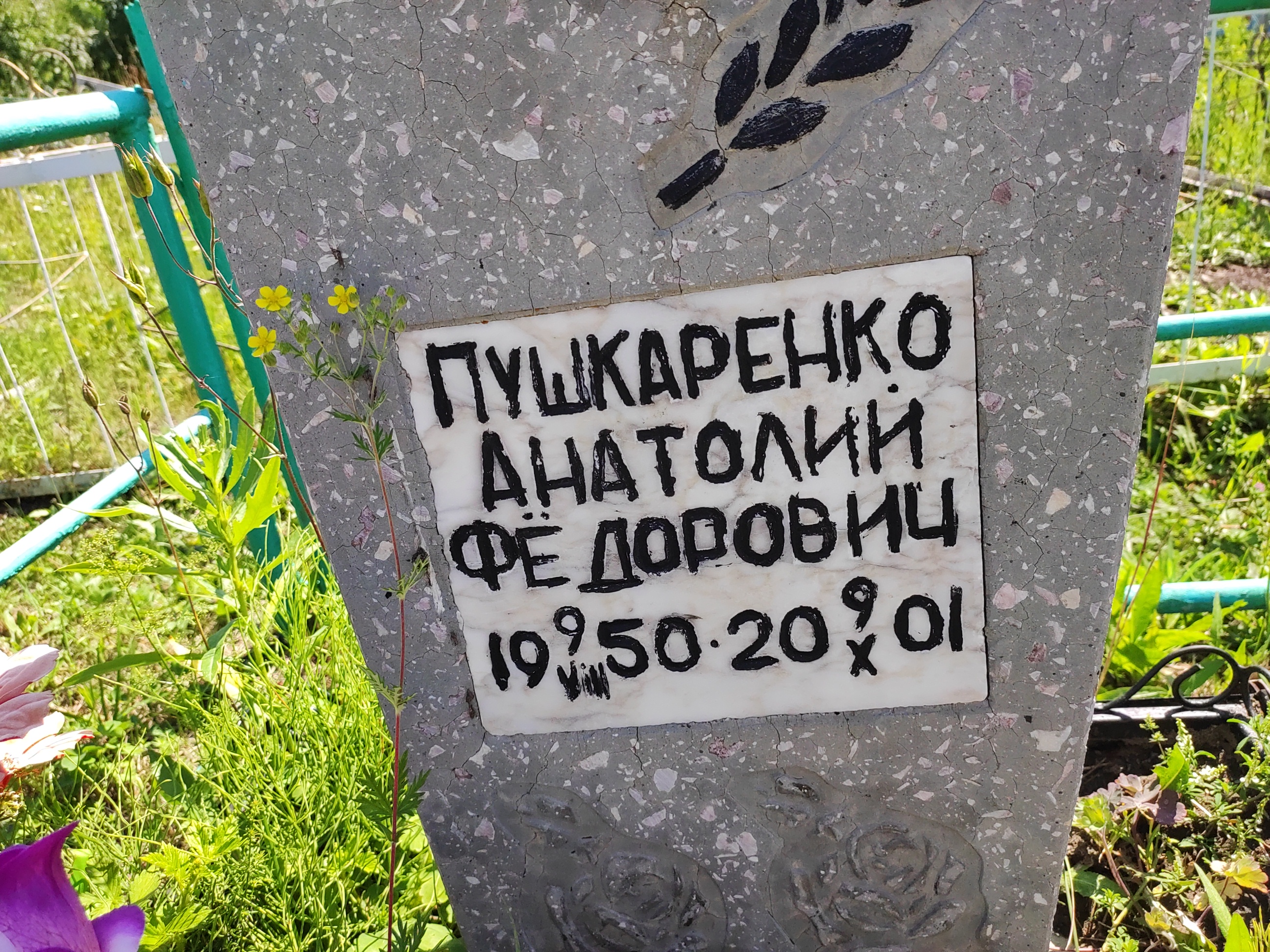 Пушкаренко Анатолий Фёдорович
