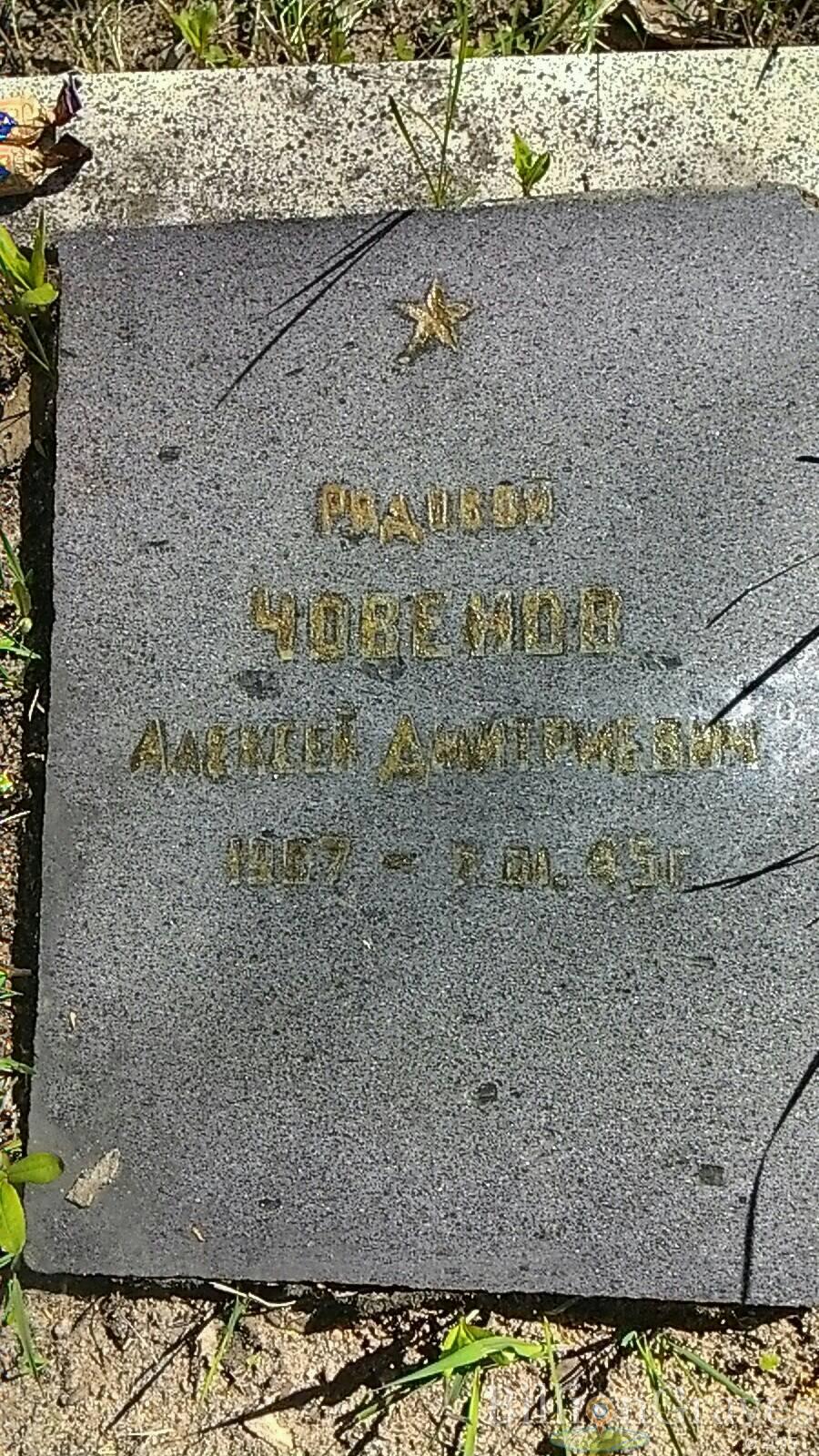 Човенов Алексей Дмитриевич