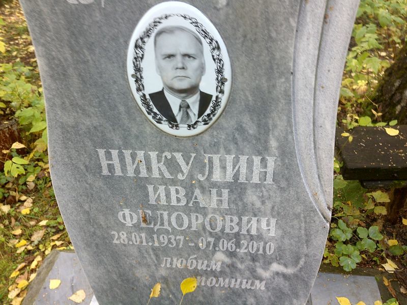Никулин