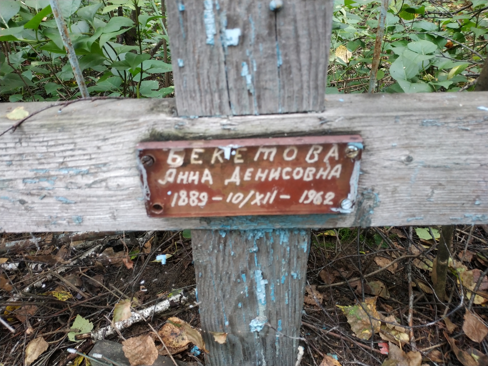 Бекетова Анна Денисовна