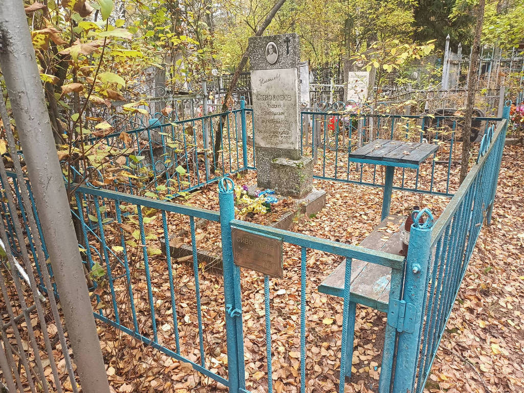 Сиволобов Василий Николаевич