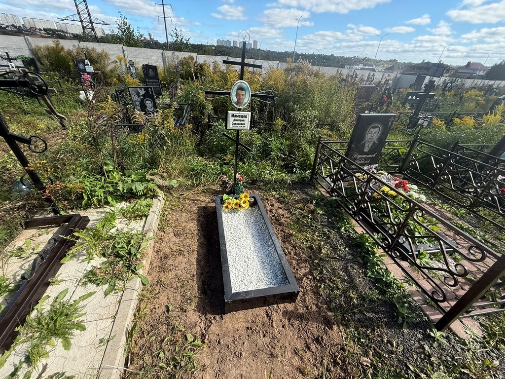 Мамедов Дмитрий Энверович