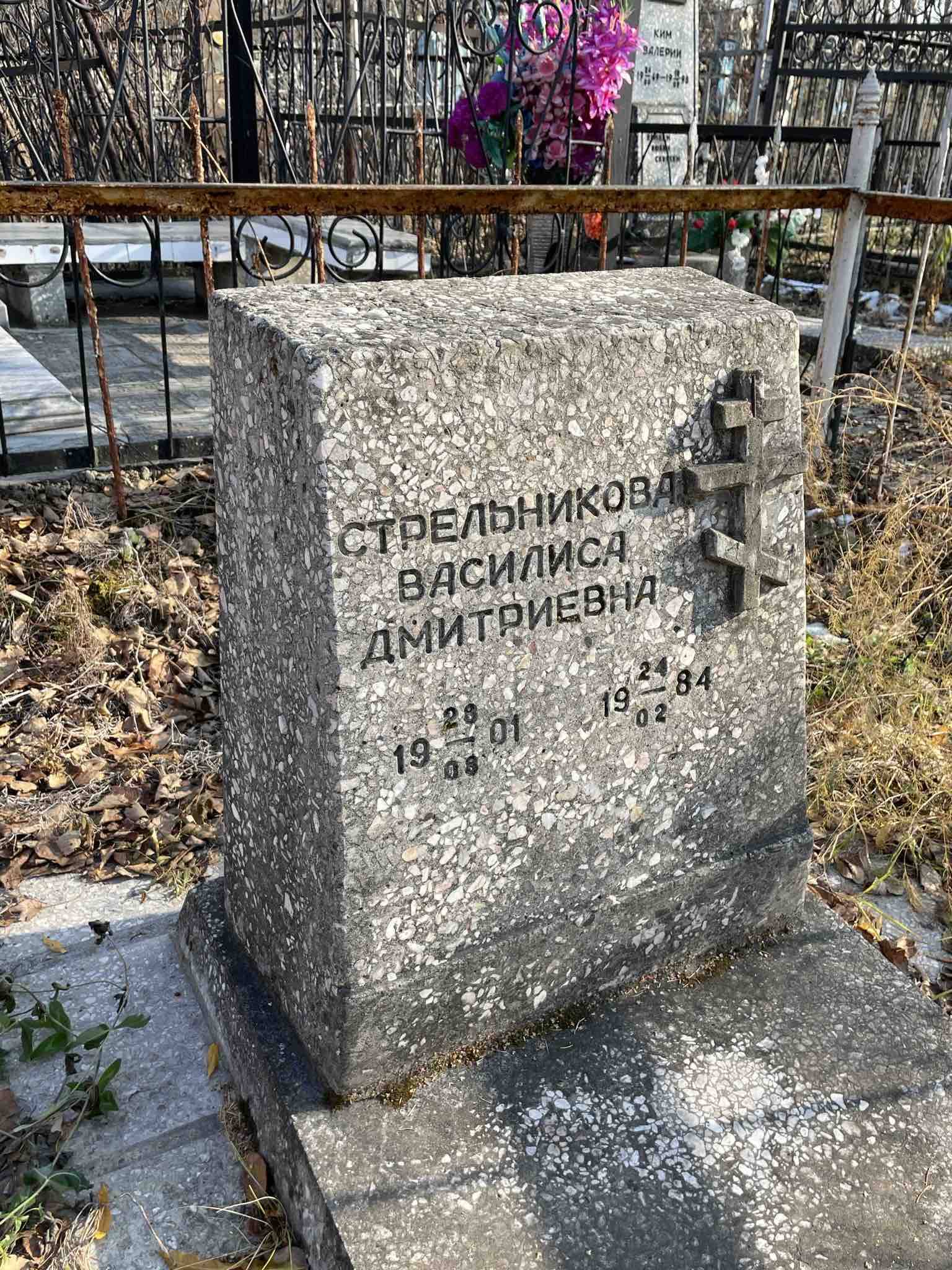 Стрельникова Василиса Дмитриевна