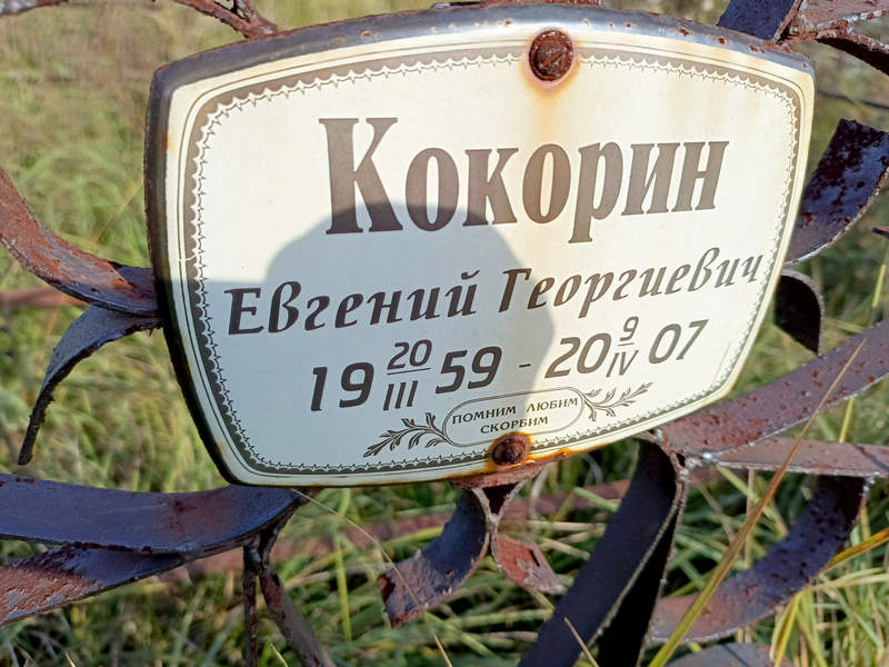 Кокорин