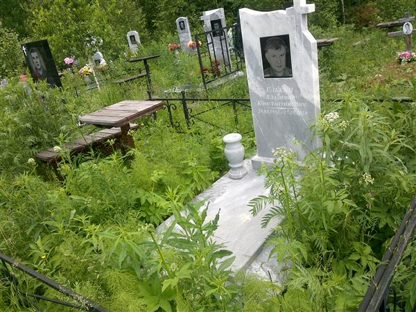 Елькин Владимир Константинович