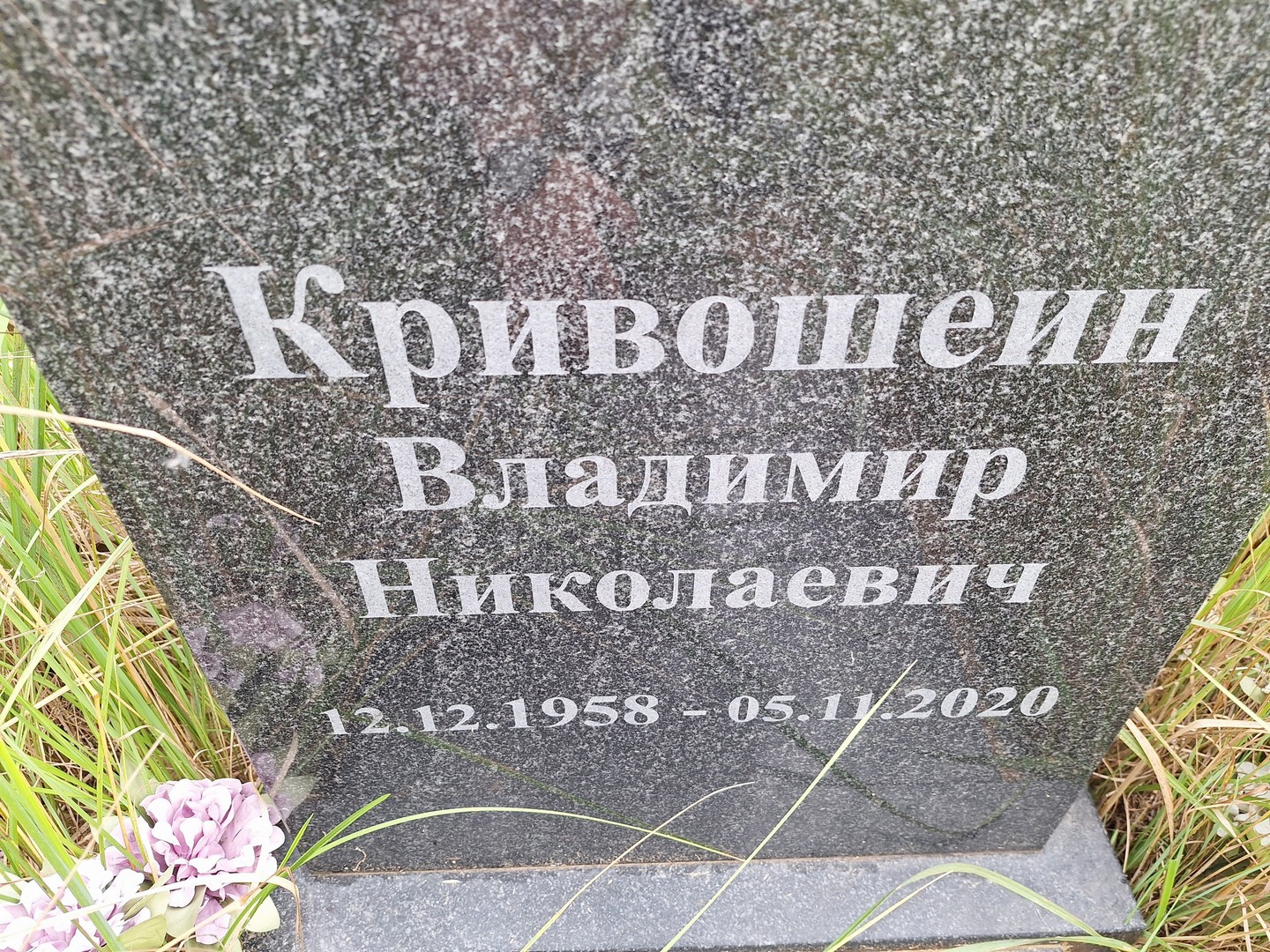 Кривошеин