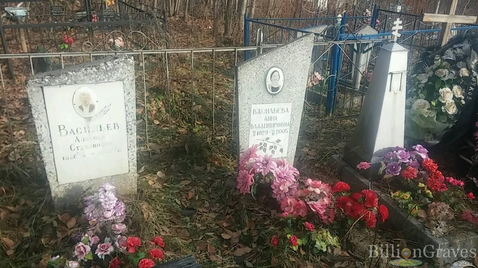 Васильева Анна Владимировна