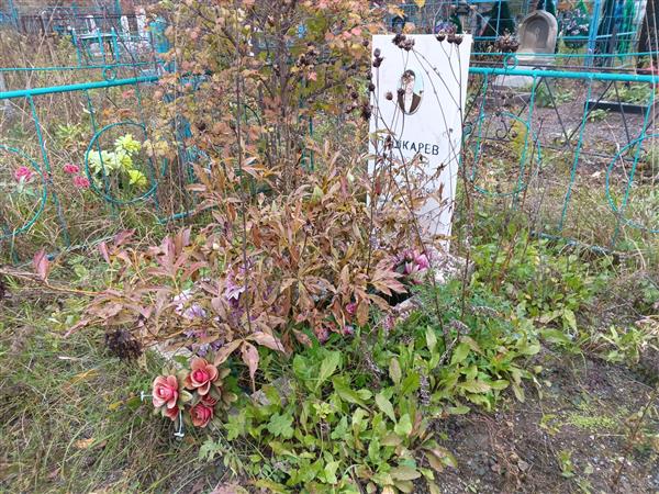 Пушкарев Анатолий Дмитриевич