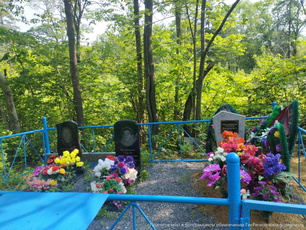 Несмиянова Пелагея Гавриловна