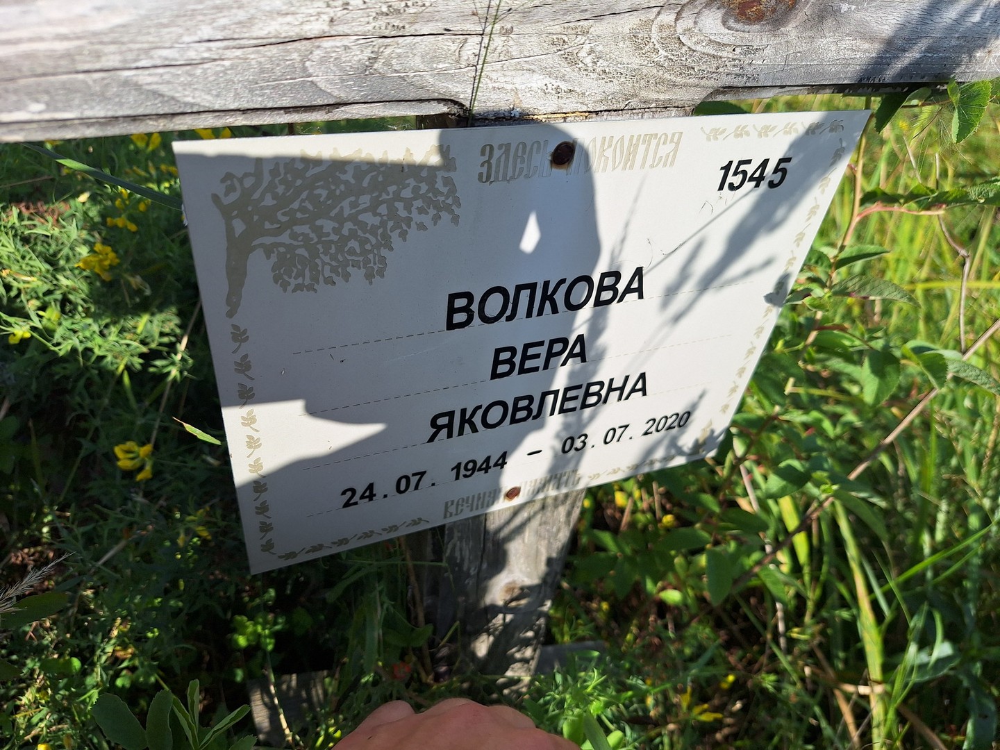 Волкова
